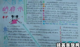 漫画的启示作文450字,启迪人生的故事